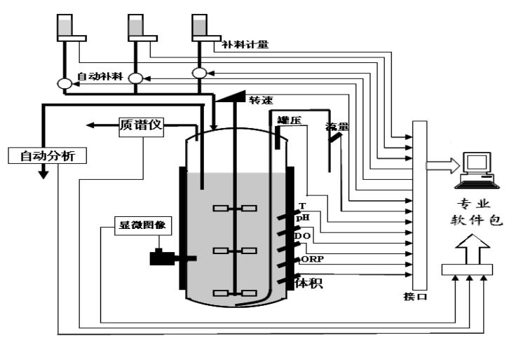 多参数检测生物反应器配置示意图