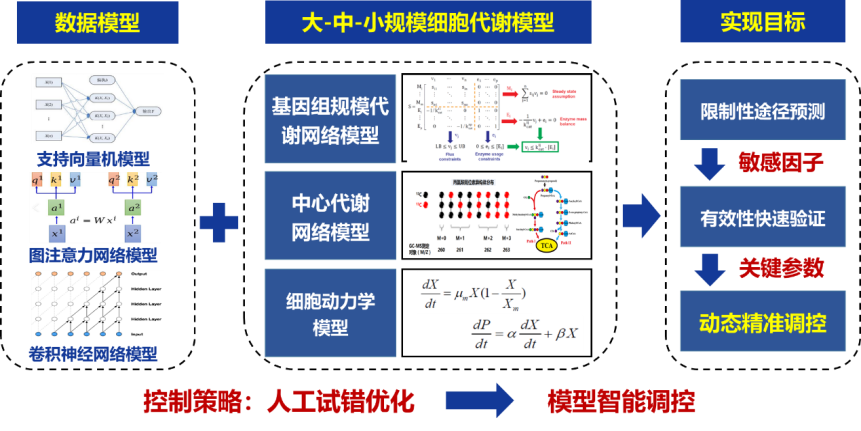 生物制造过程智能优化调控策略