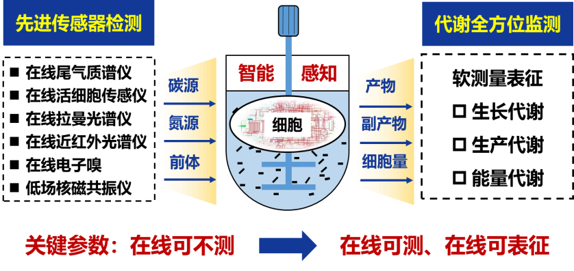 生物制造过程智能感知体系