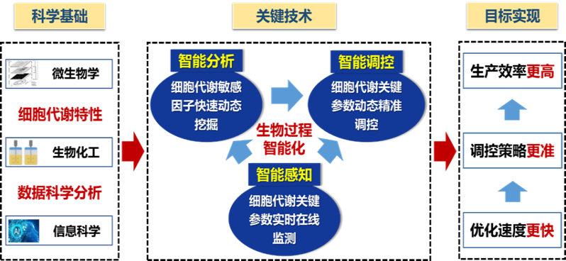 智能生物制造总体研究体系